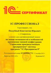 Сертификат Поддубный Константин